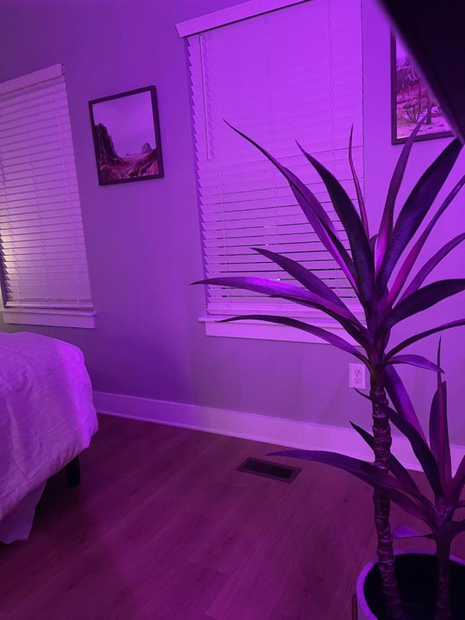 Classy, Cozy, Close To Downtown ناشفيل المظهر الخارجي الصورة